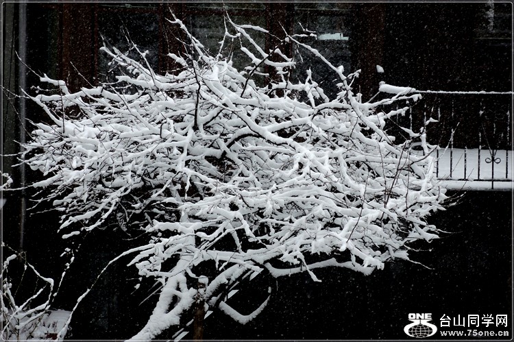 DSCN5512.jpg