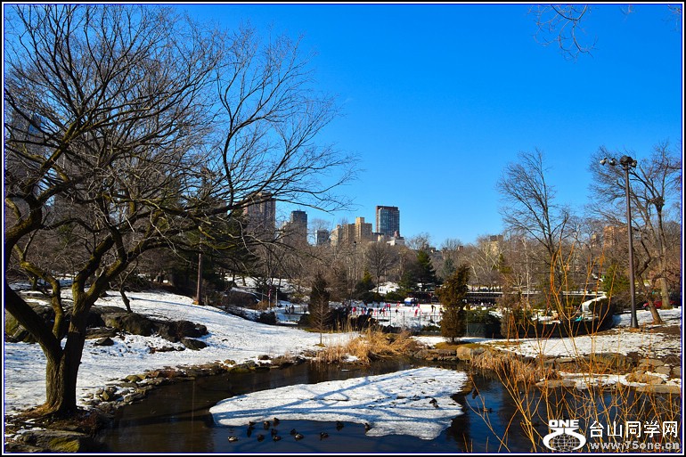 DSC_2723.jpg