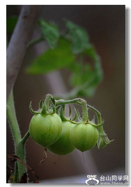 ����, 089.jpg