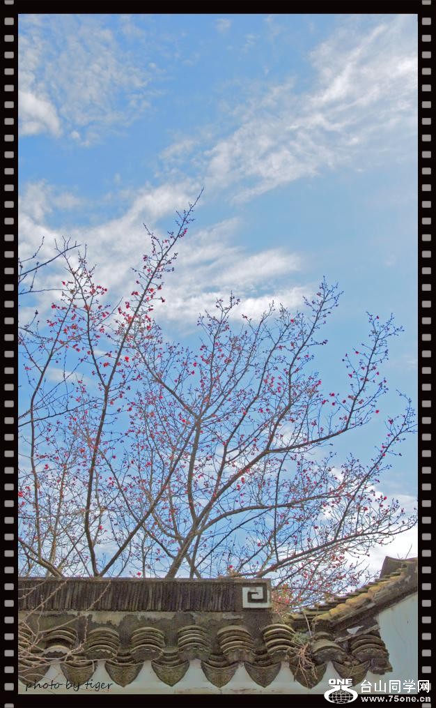 DSC_0054_HZPaa.jpg