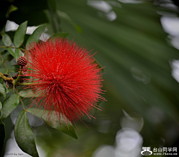 DSC_4256_HZPsen.jpg