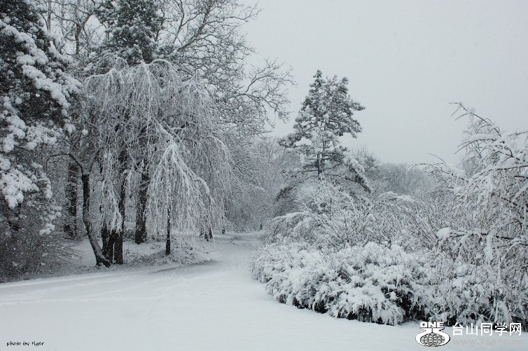 DSC_0048_HZPsen.jpg