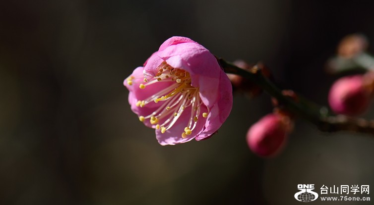 DSC_3889.jpg