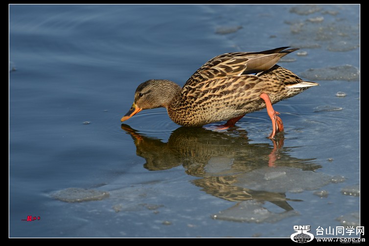 DSC_5747.jpg