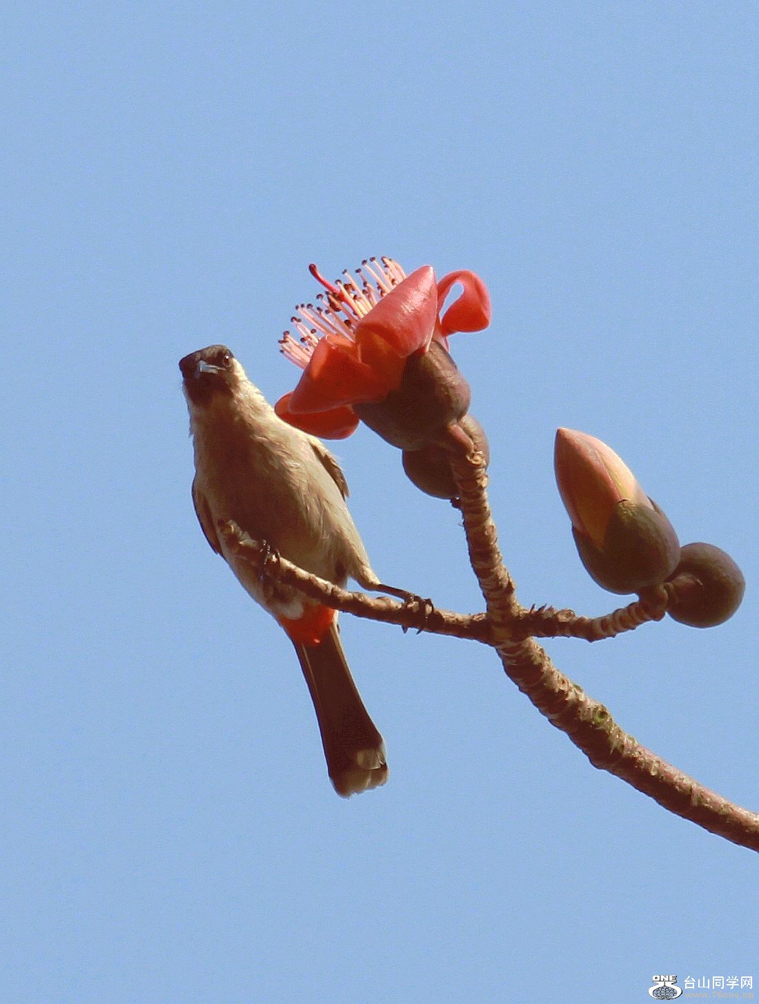 IMG_4007.jpg