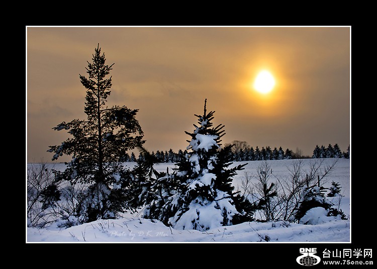 DSC_7340C.jpg
