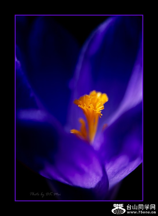 DSC_8884C.jpg