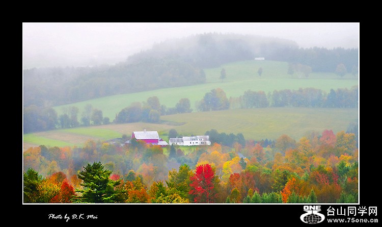 DSC_5803C.jpg