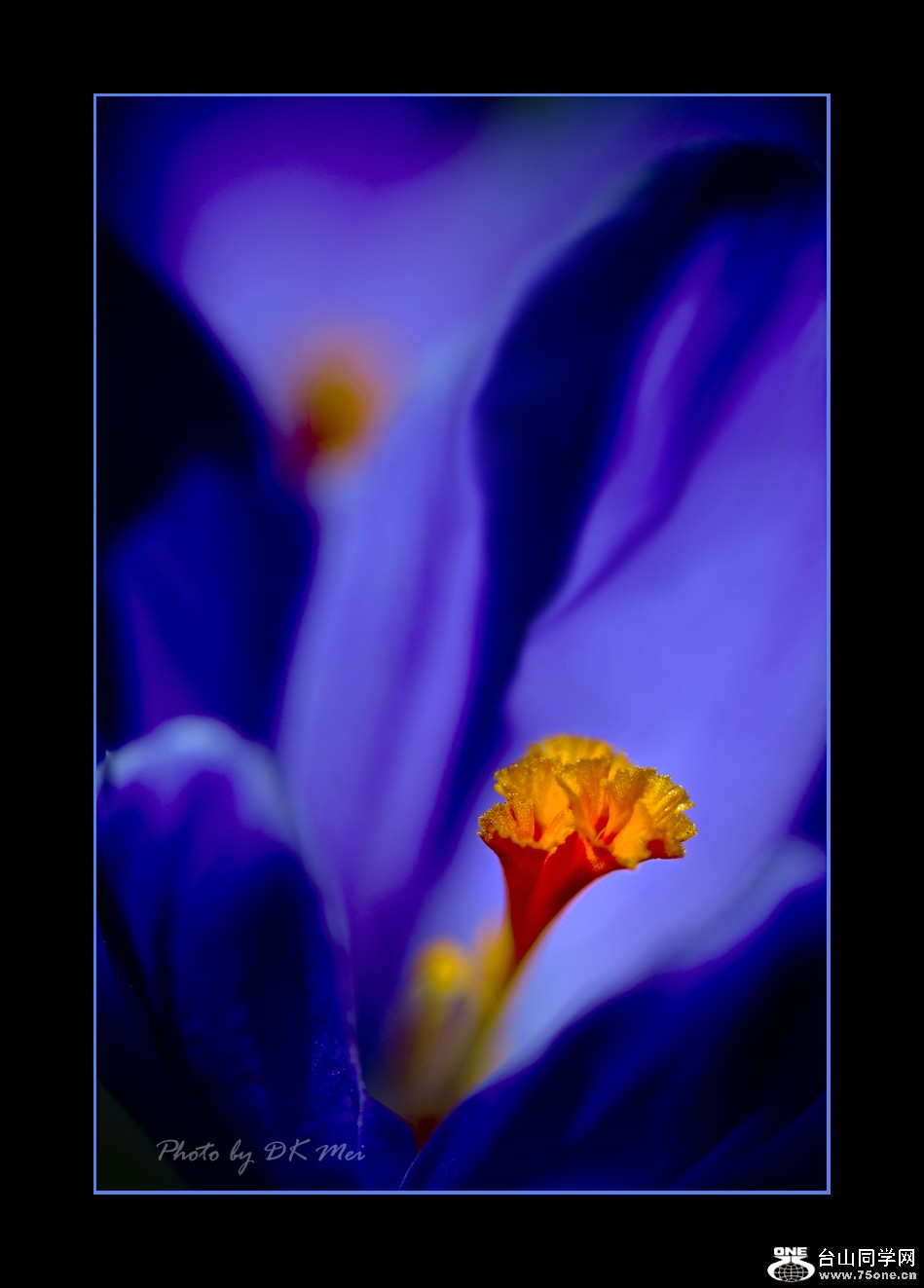 DSC_8955C.jpg