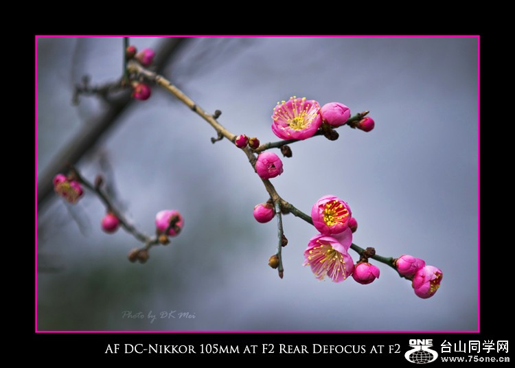 DSC_8785C.jpg