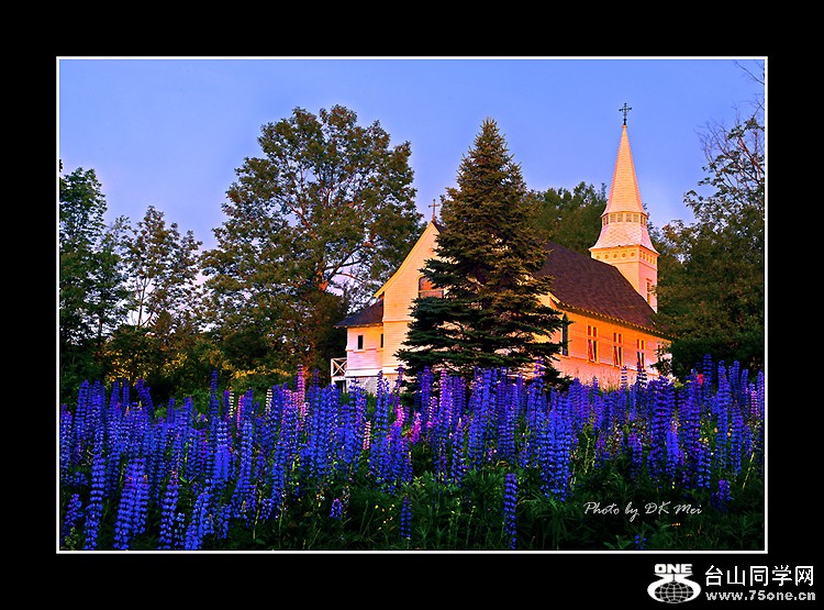 _DSC9344C.jpg