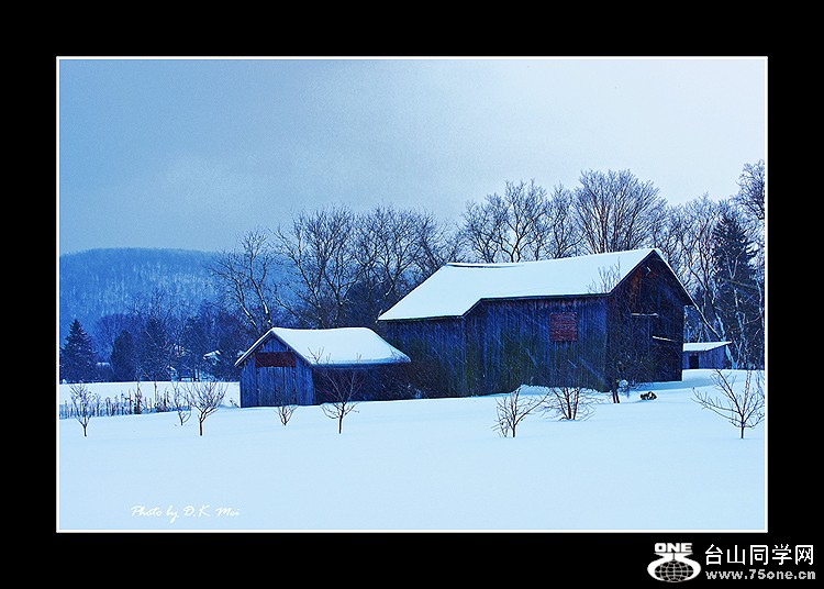 DSC_7710C.jpg