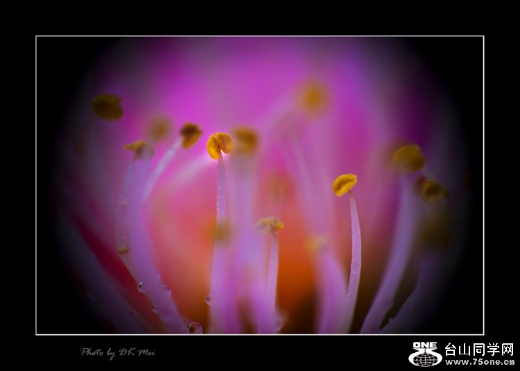 DSC_8834C.jpg