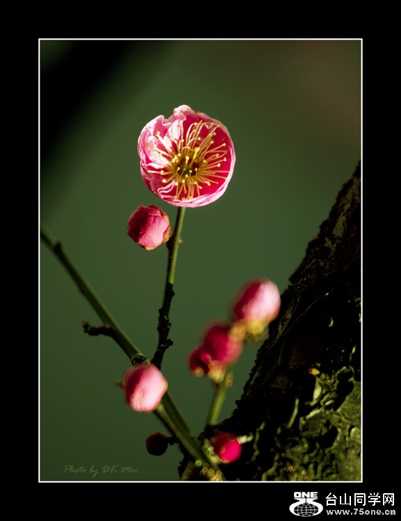 DSC_8802C.jpg