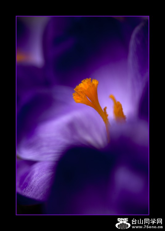 DSC_8933C.jpg