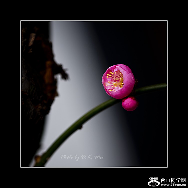 DSC_8708C.jpg