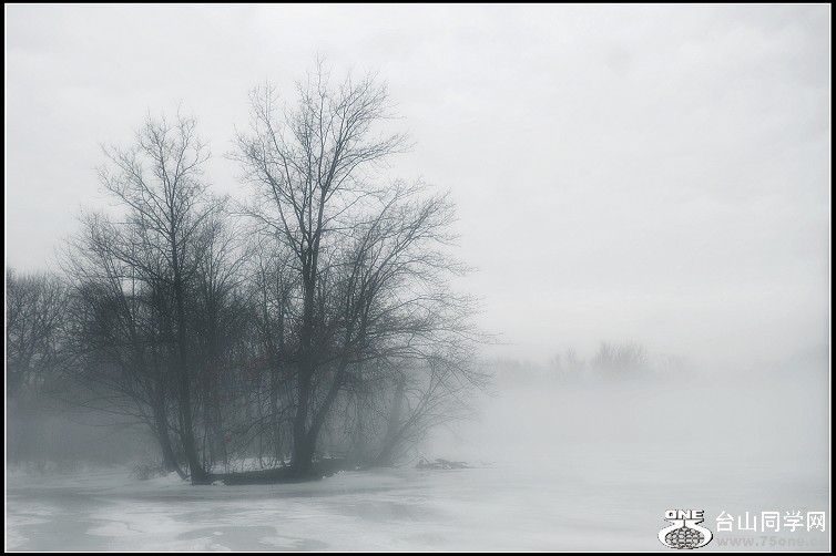 DSC_4931.JPG