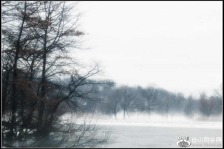 DSC_5672.JPG