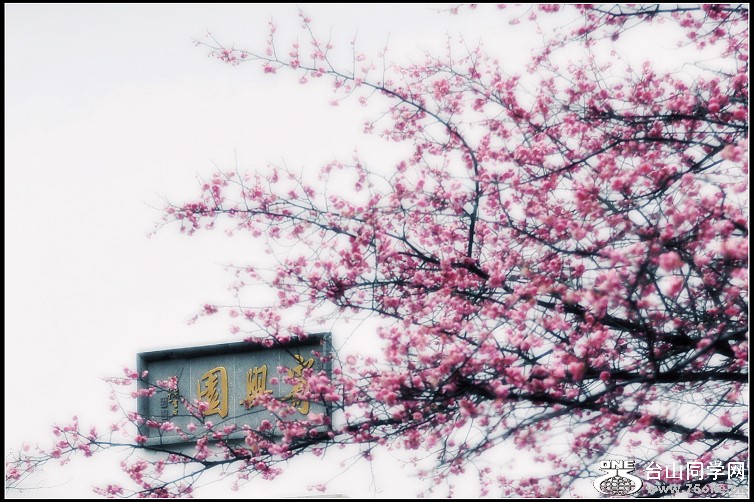 DSC_2337.JPG