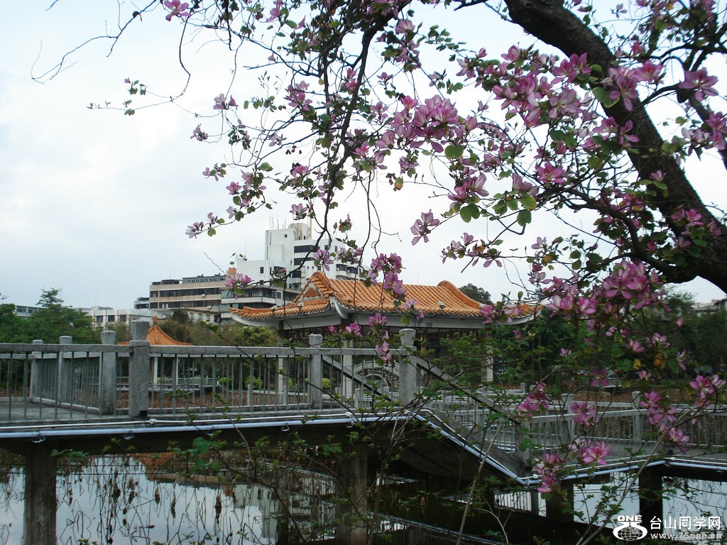 DSC00321.jpg