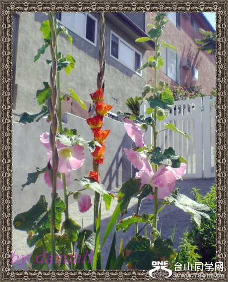 2012_07170511.JPG