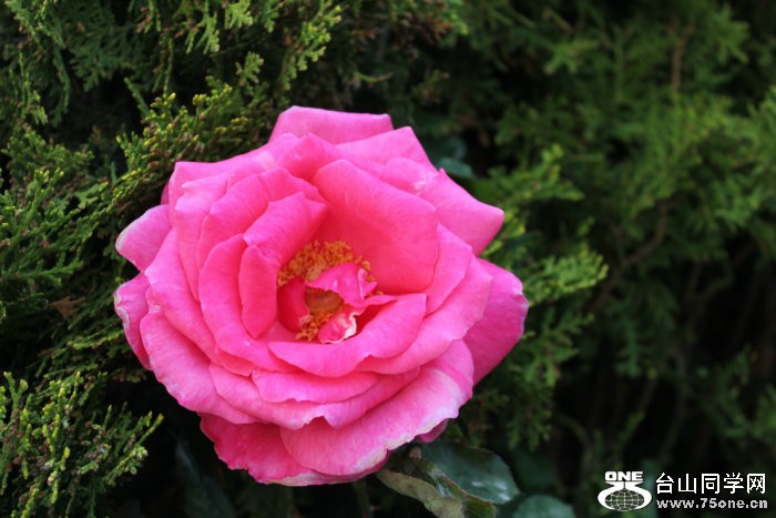 2012_07070083.JPG