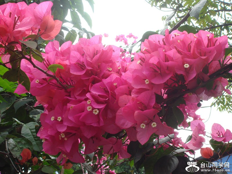 DSC01430_.jpg