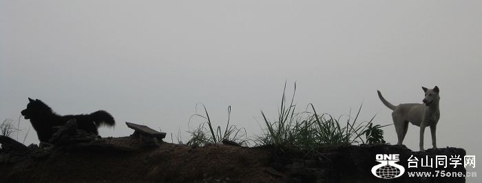IMG_2431.jpg