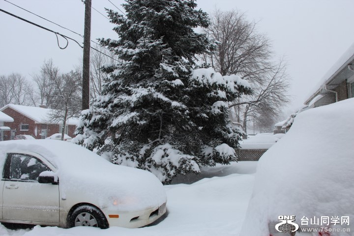 IMG_4505 (Small).JPG