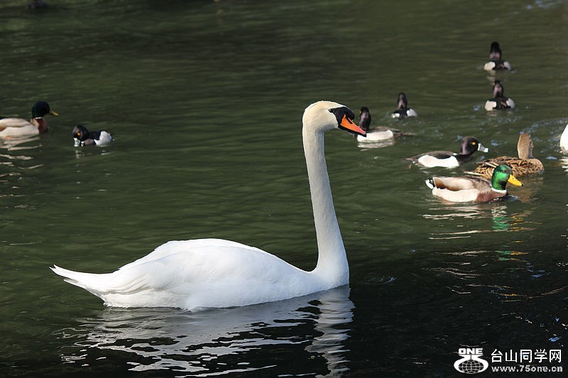 IMG_9846.jpg