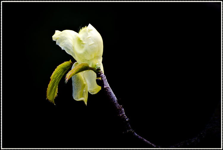 _DSC8400.jpg