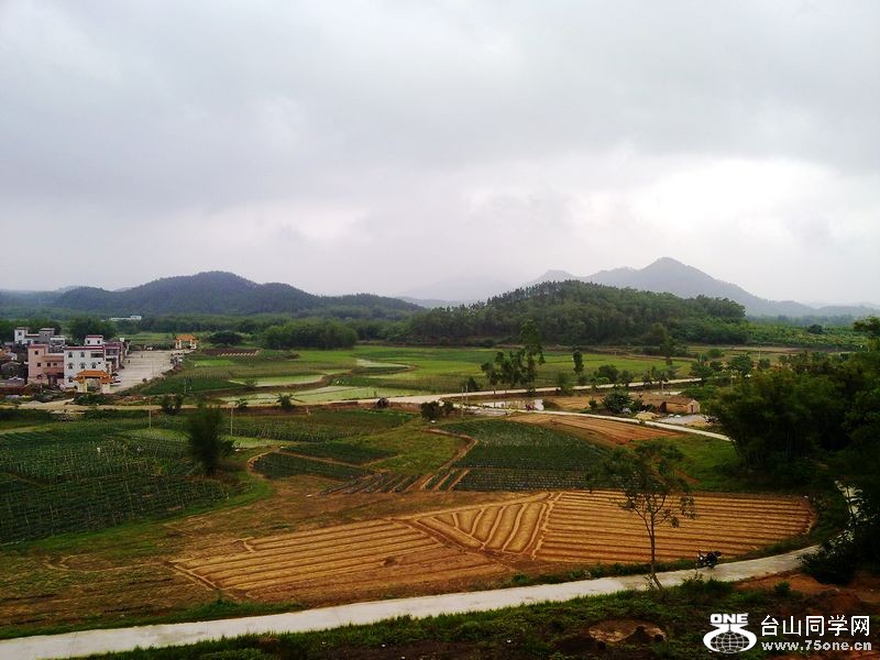 201304043095.jpg