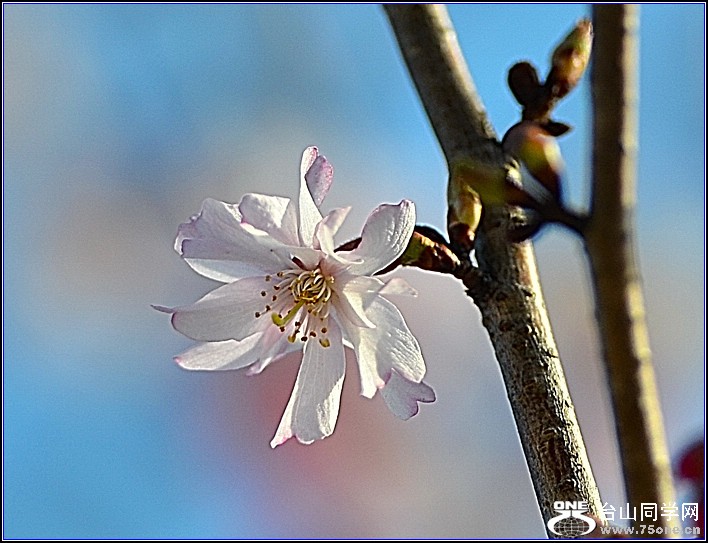 DSC_0955.jpg