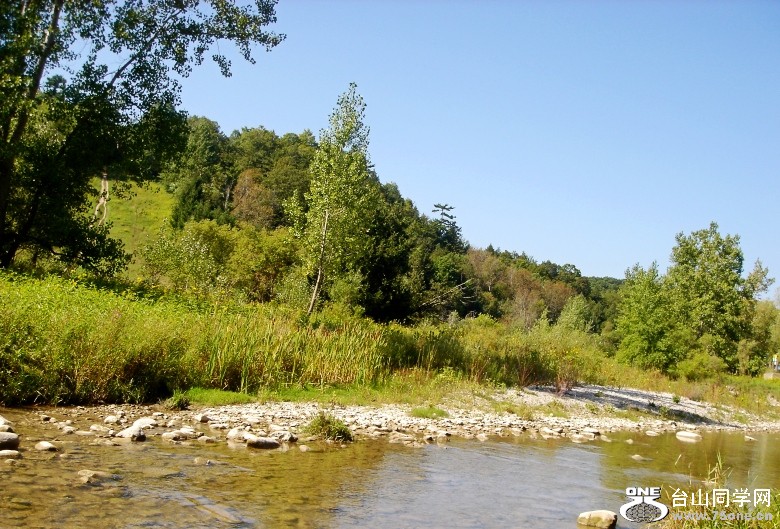 DSC01546_conew1.jpg
