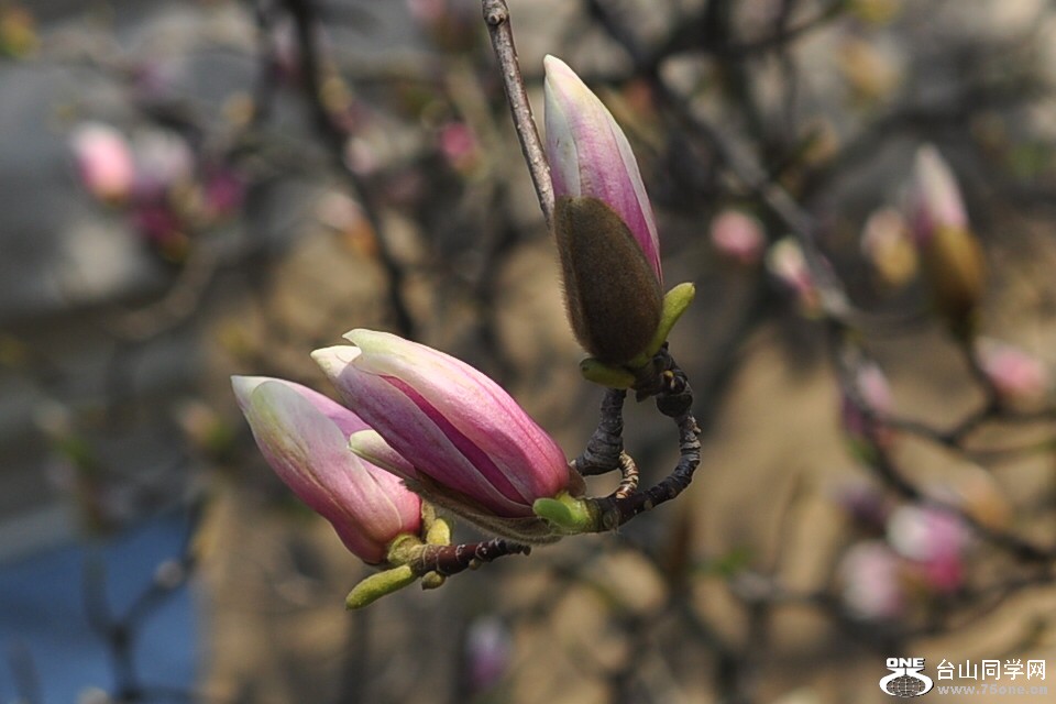 CSC_0879_.jpg