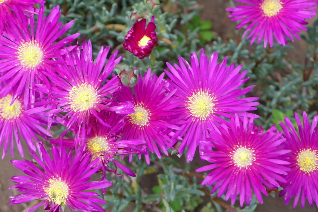 P1250582.JPG