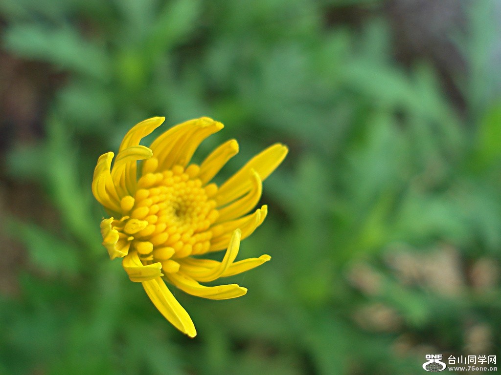 DSC00072.jpg