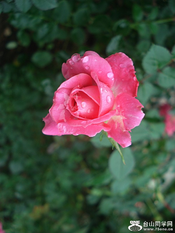 DSC00137.jpg