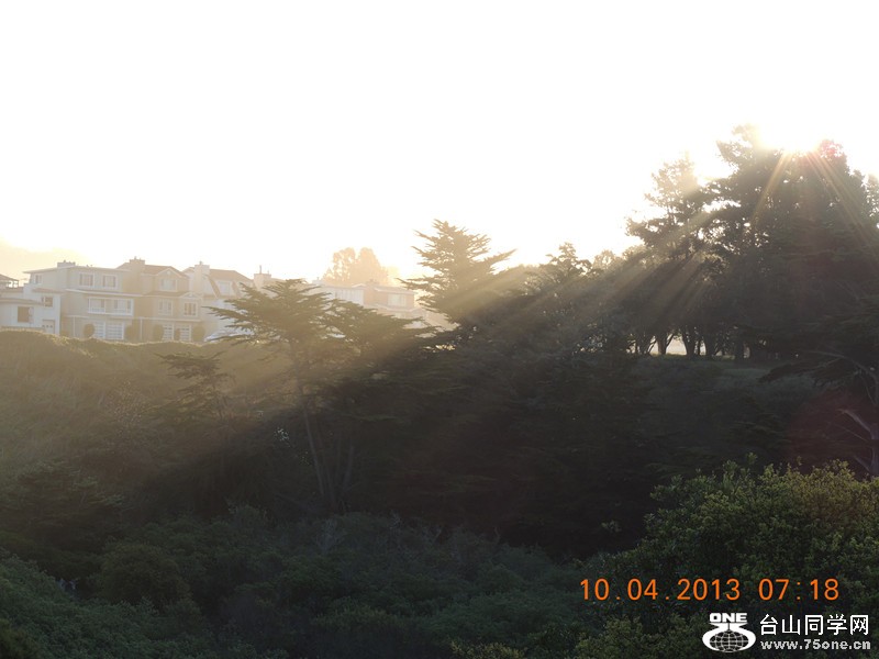 live 509_.jpg