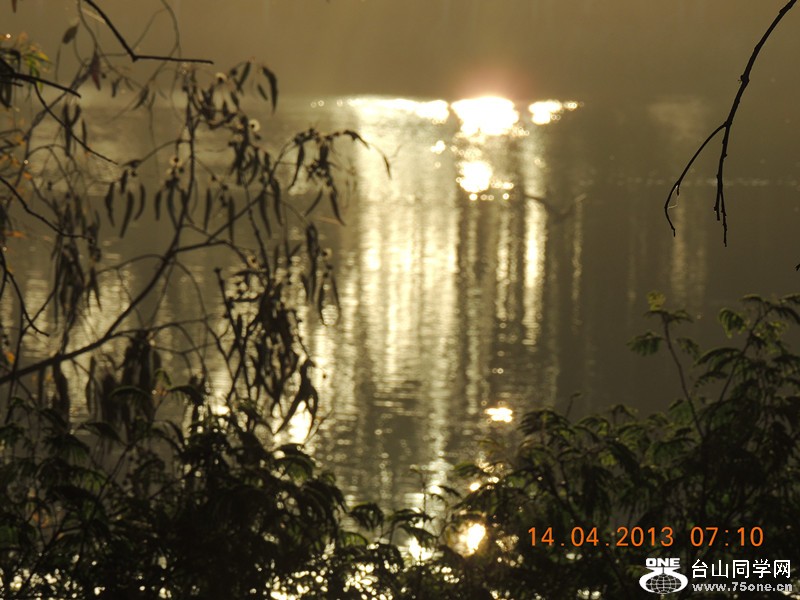 live 633_.jpg