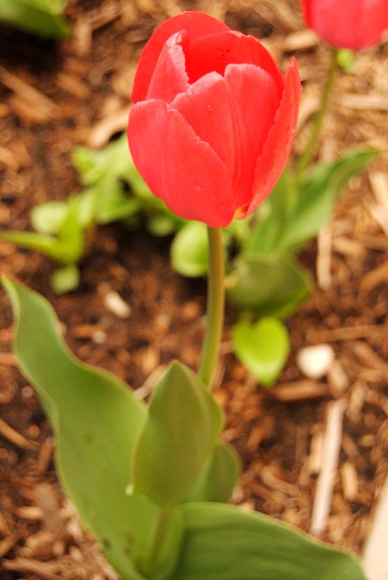 DSC_0019.JPG