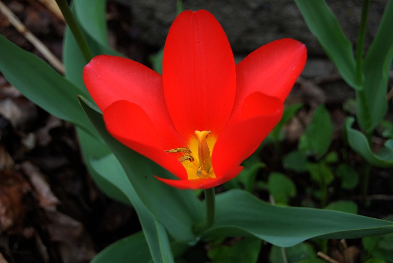 DSC_0014.JPG
