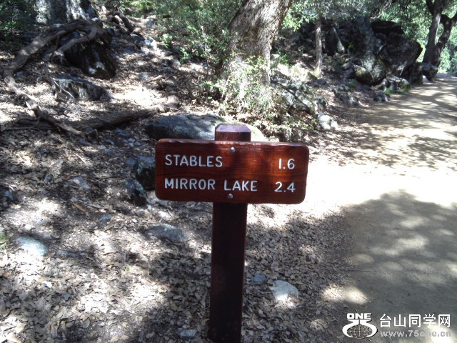 WP_000704.jpg