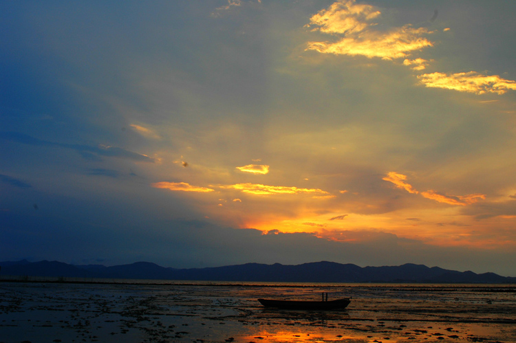 DSC_0290-1.jpg