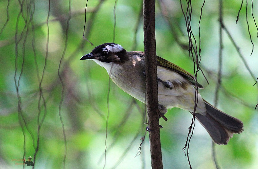 IMG_6467.jpg