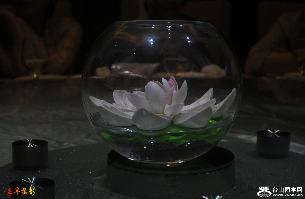 DSC_7290.JPG