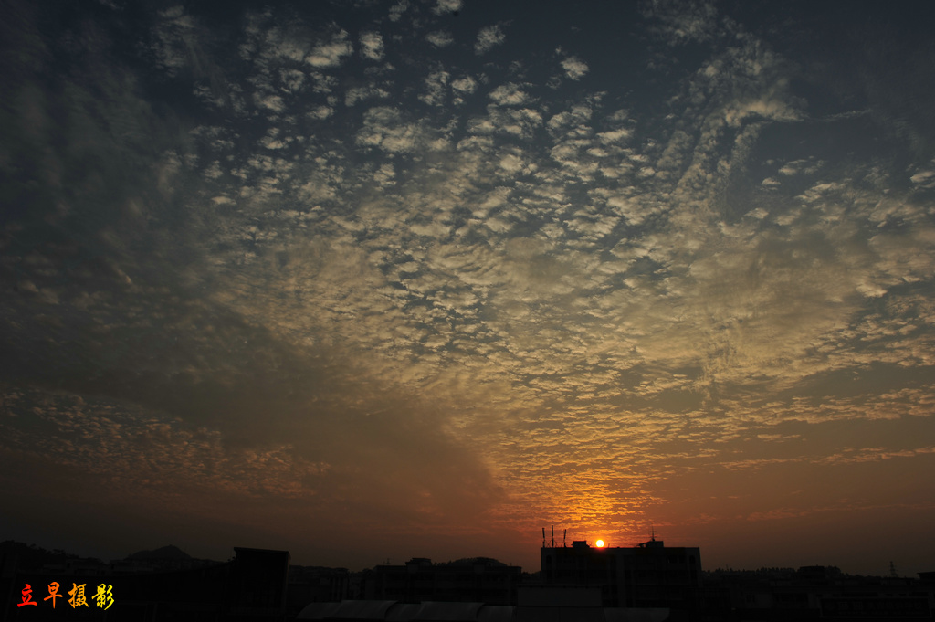 DSC_5325.JPG