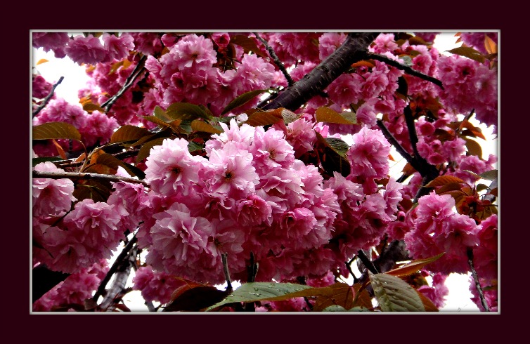 DSC00023.JPG