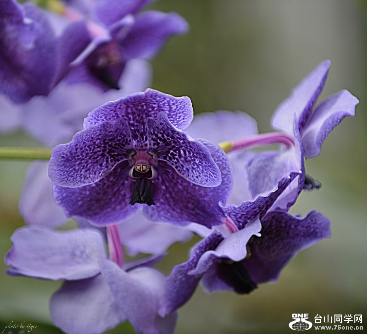 untitled.4168sen.jpg