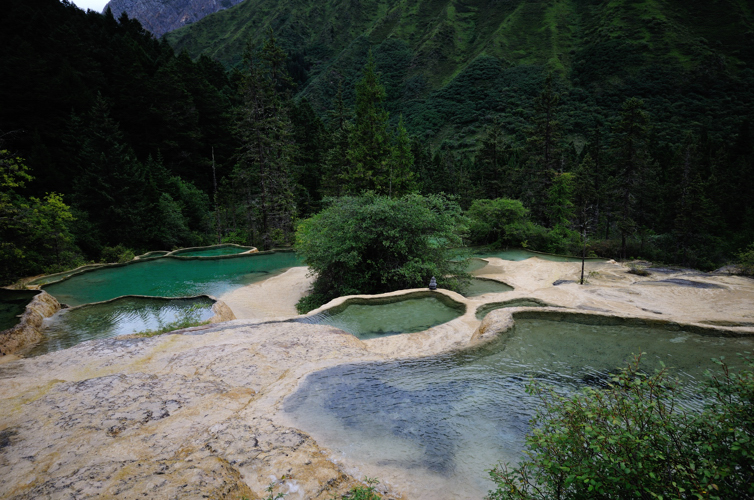 DSC_1784.jpg